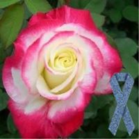 Debra Todd Photo 9