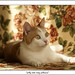 Marcia White Photo 22