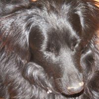 Brenda Hogan Photo 8