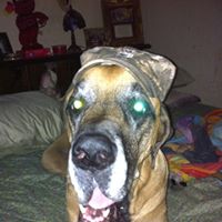 Leland Bailey Photo 12