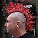 Terri Mcmurray Photo 6