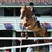 Tim Huntsman Photo 15