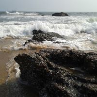 Dilshad Ahmed Photo 11