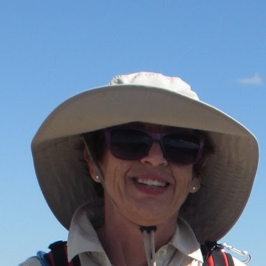 Sue Elliott Photo 58