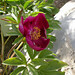 Joseph Huth Photo 2
