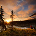 Brian Pollock Photo 27