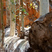Alice Wells Photo 8
