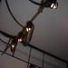 Harry Light Photo 5
