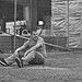 David Batton Photo 12