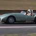 Terry Cornelius Photo 14