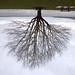 Rodney Graham Photo 41