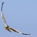 Sandy Swift Photo 26