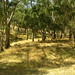 Thelma Robertson Photo 14