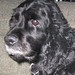 Jack Pou Photo 4