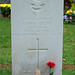Robert Macauley Photo 13