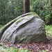 Patricia Wrightson Photo 10