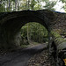 Troy Bridges Photo 7