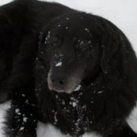 Jessie Landon Photo 5