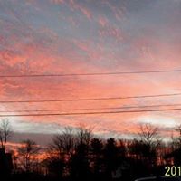 Terry Richards Photo 20