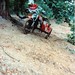 Colin Ward Photo 13