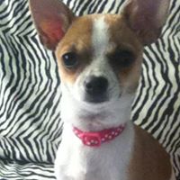 Janice Hazen Photo 7