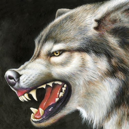 Al Wolf Photo 35