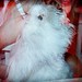 Eleanor Luna Photo 5