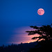 Douglas Moon Photo 23