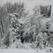 Glenn Winters Photo 20