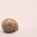 Johnny Spitzer Photo 14