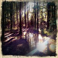 Brooke Helms Photo 28