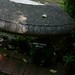 Elizabeth Barnhill Photo 8
