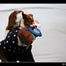 Paul Tucker Photo 17