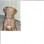 Marcia Alexander Photo 4
