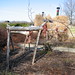 Franklin Simpson Photo 10