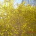 April Bright Photo 37