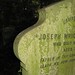 Joseph Moss Photo 22