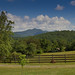 Georgia Young Photo 40