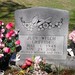 Judy Griffith Photo 38