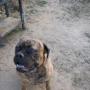 Jimmy Ward Photo 29