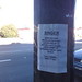 Daniel Call Photo 20