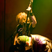 David Hail Photo 26