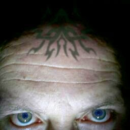 Richard Gibb Photo 3