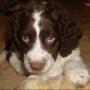 Leanne Cook Photo 40