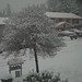 Sharon Cates Photo 7