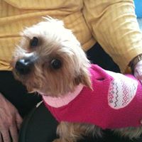 Carolyn Laird Photo 6