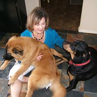 Jeanette Fox Photo 16