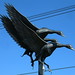 Crystal Drake Photo 12