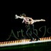 Peter Lang Photo 32