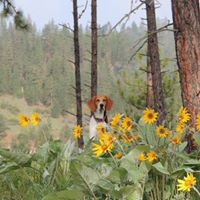 Nancy Bryson Photo 29
